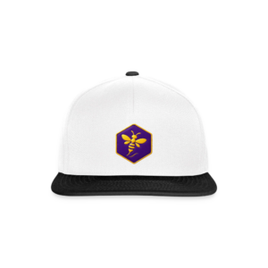 Casquette snapback ALVEOLE  grey bk